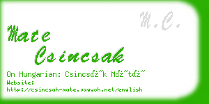 mate csincsak business card